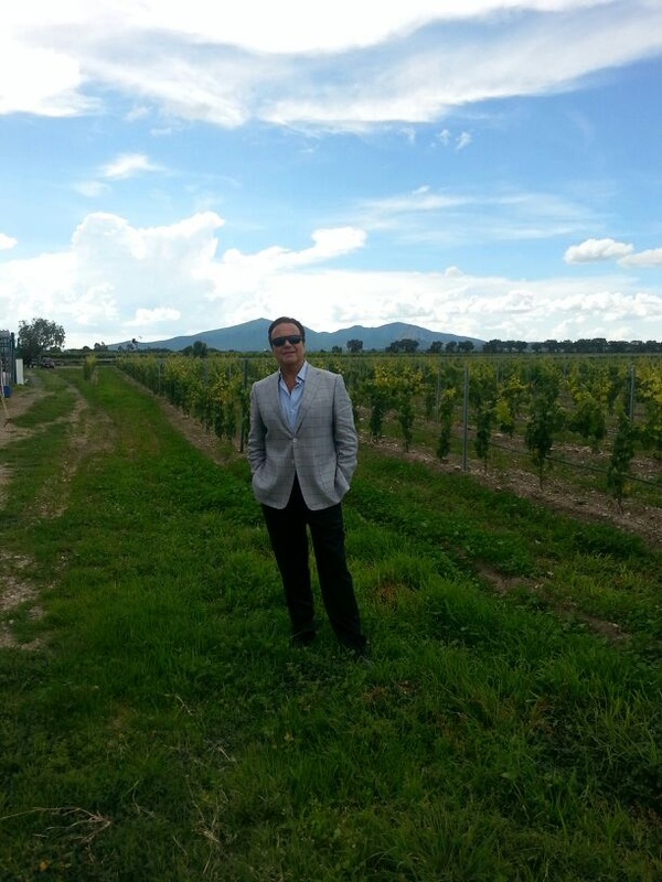Picture